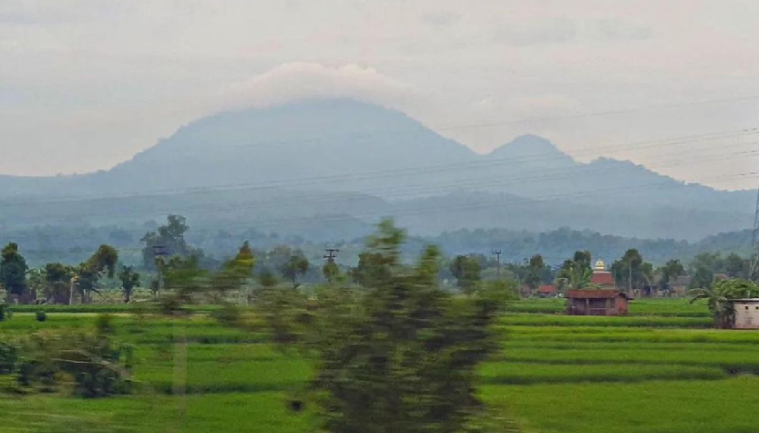 Gunung Pandan: Antara Sejarah Tanaman Pandan dan Legenda yang Hidup