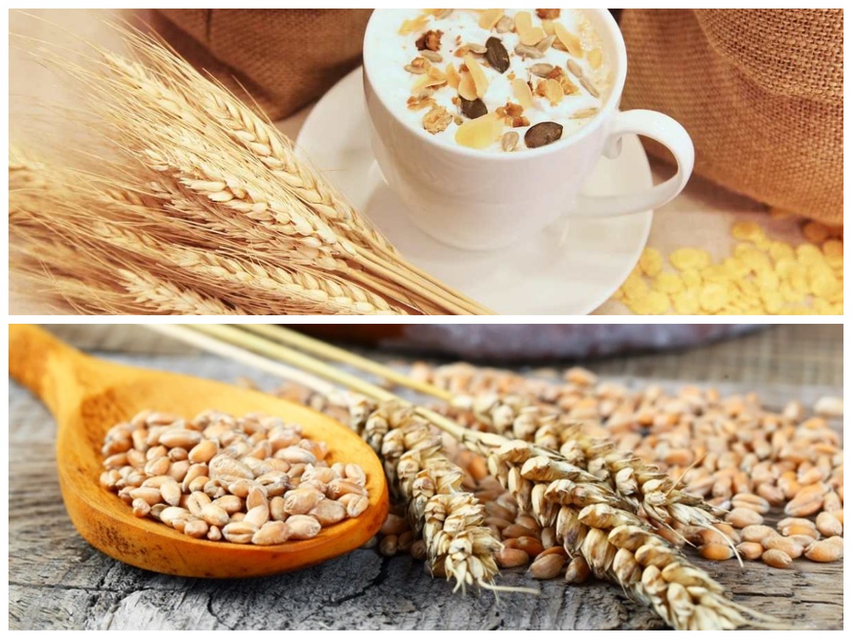 Gandum Utuh: Pilihan Tepat Menu Diet Kaya Serat dengan Beragam Khasiat untuk Tubuh
