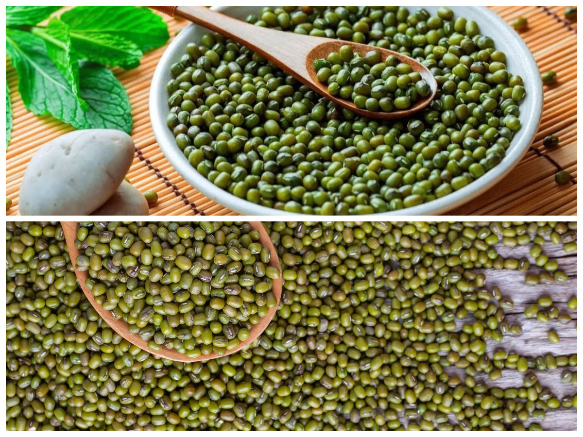 Rahasia Kacang Hijau: 5 Manfaat Kesehatan yang Wajib Anda Tahu