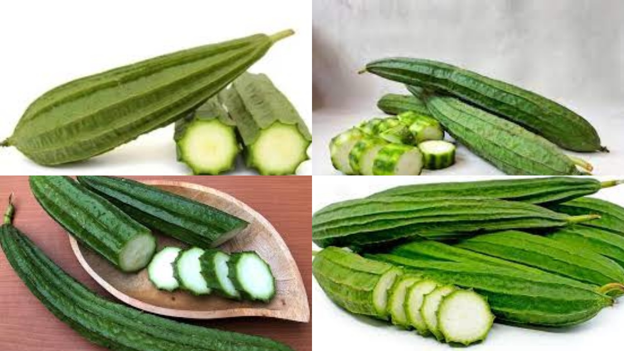 Jarang Diketahui! Inilah Manfaat Sayur Oyong Untuk Kesehatan Tubuh!