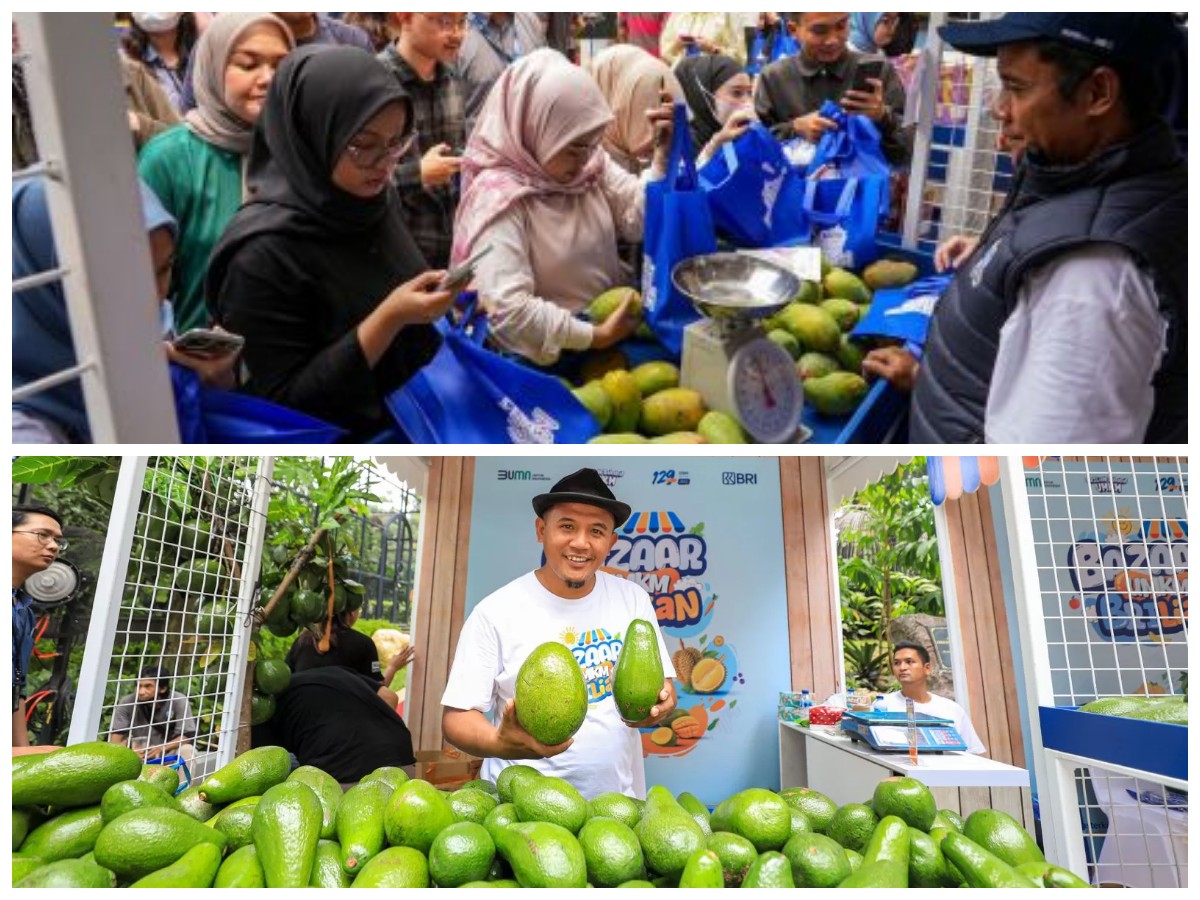 Dukungan BRI Membantu Petani Mangga Bondowoso Perluas Usaha dan Tingkatkan Kesejahteraan