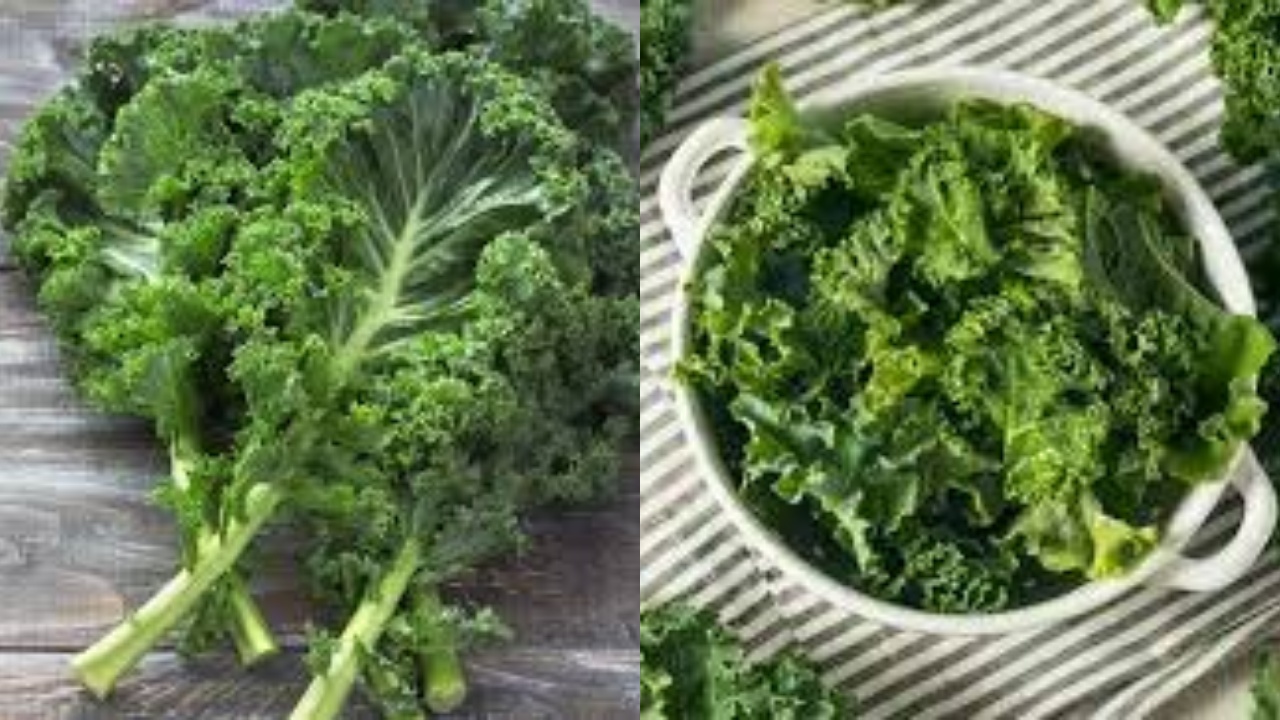  Inilah 10 Manfaat Daun Kale Yang Harus Kalian Tahu!