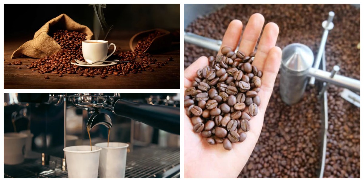 Dari Biji ke Cangkir: Tips Mengolah Kopi dan Teknik Roasting untuk Rasa Maksimal