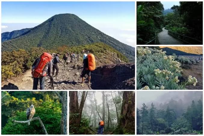 Gunung Kembar Gede Pangrango dan Semua Cerita Mistik yang Termuat di Dalamnya