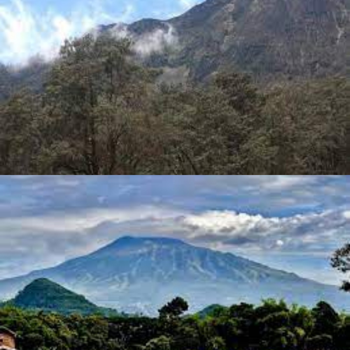 Taukah Kamu? Dibalik Keindahannya Inilah Fkata Menarik yang Ada di Gunung Arjuno 