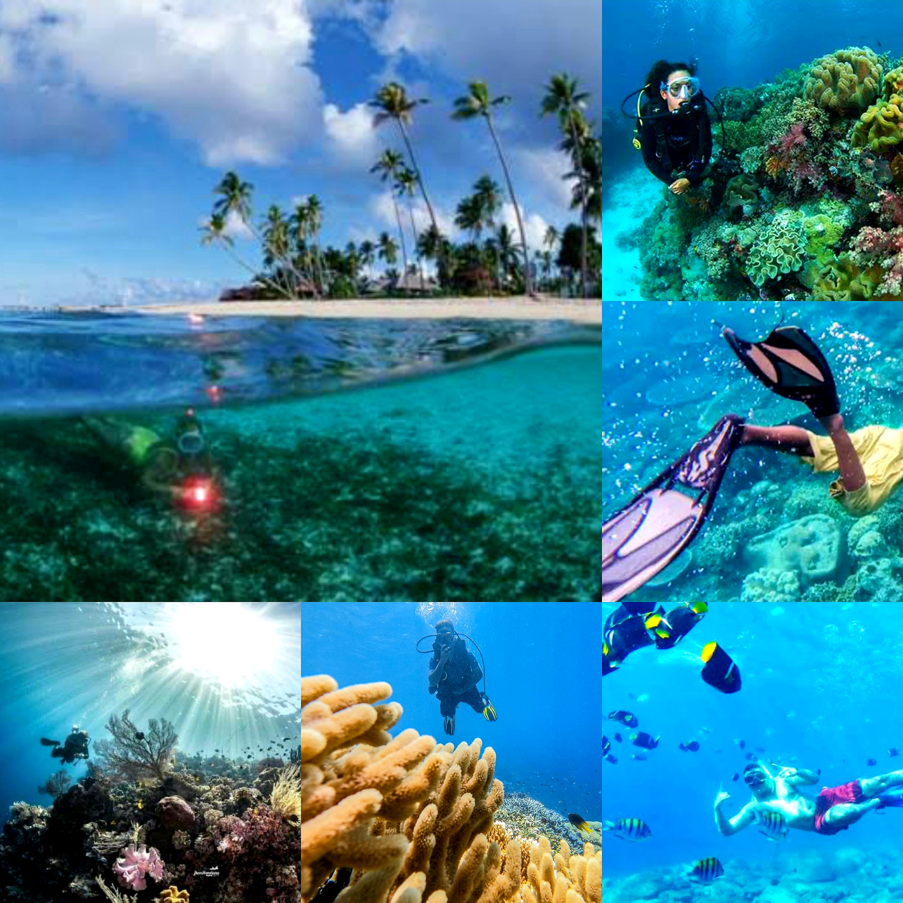 Surga Alam Bawah Laut! Keindahan Pulau Wakatobi Incaran Para Penyelam Lokal Maupun Mancanegara