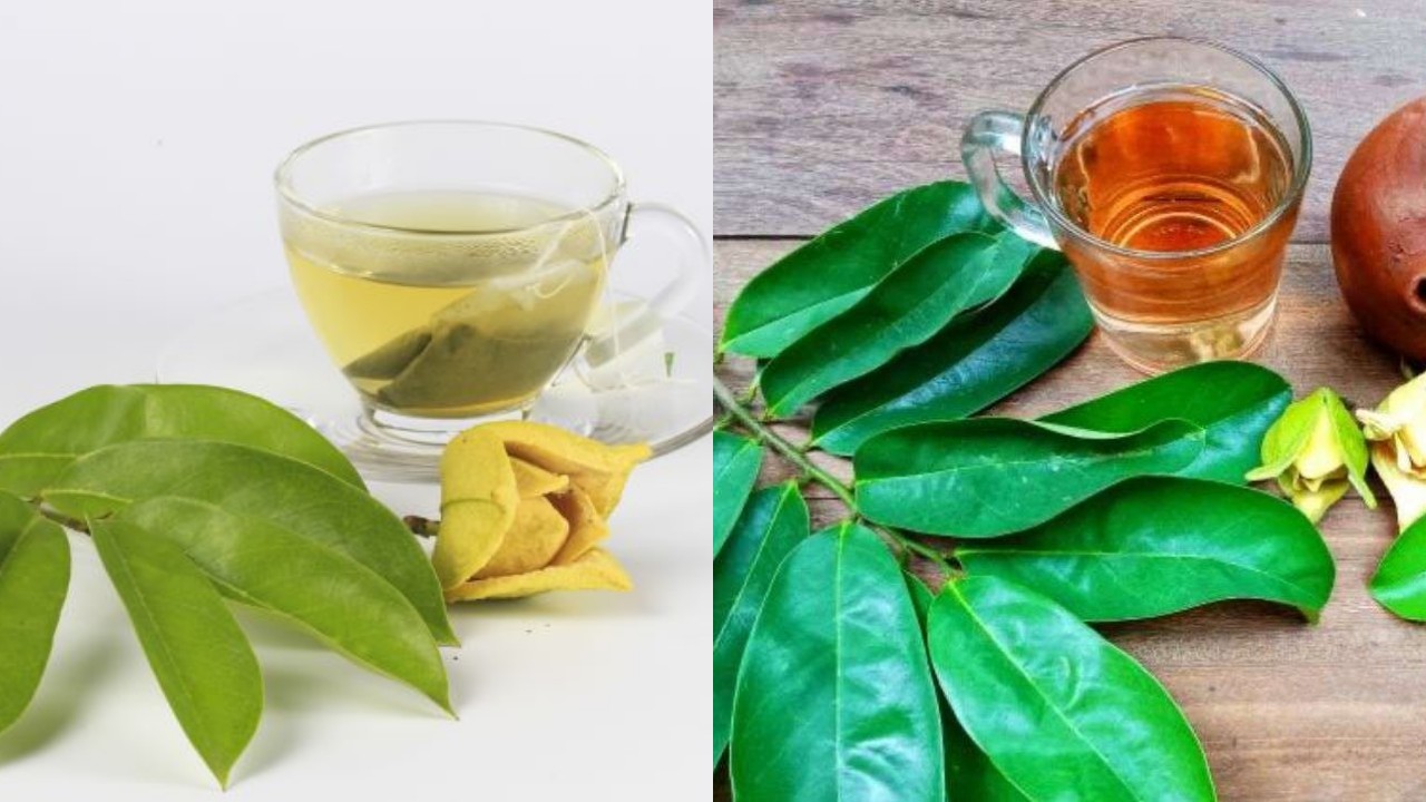 Rahasia Sehat dari Daun Sirsak: Manfaat Lengkap untuk Kesehatan Tubuh!