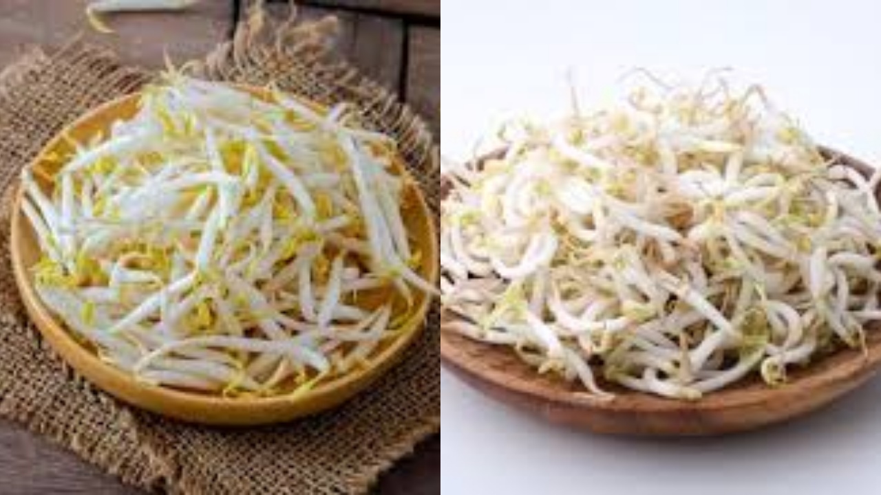 Yuk Intip! Manfaat Toge untuk Kesehatan dan Cara Mengolahnya Yang Benar