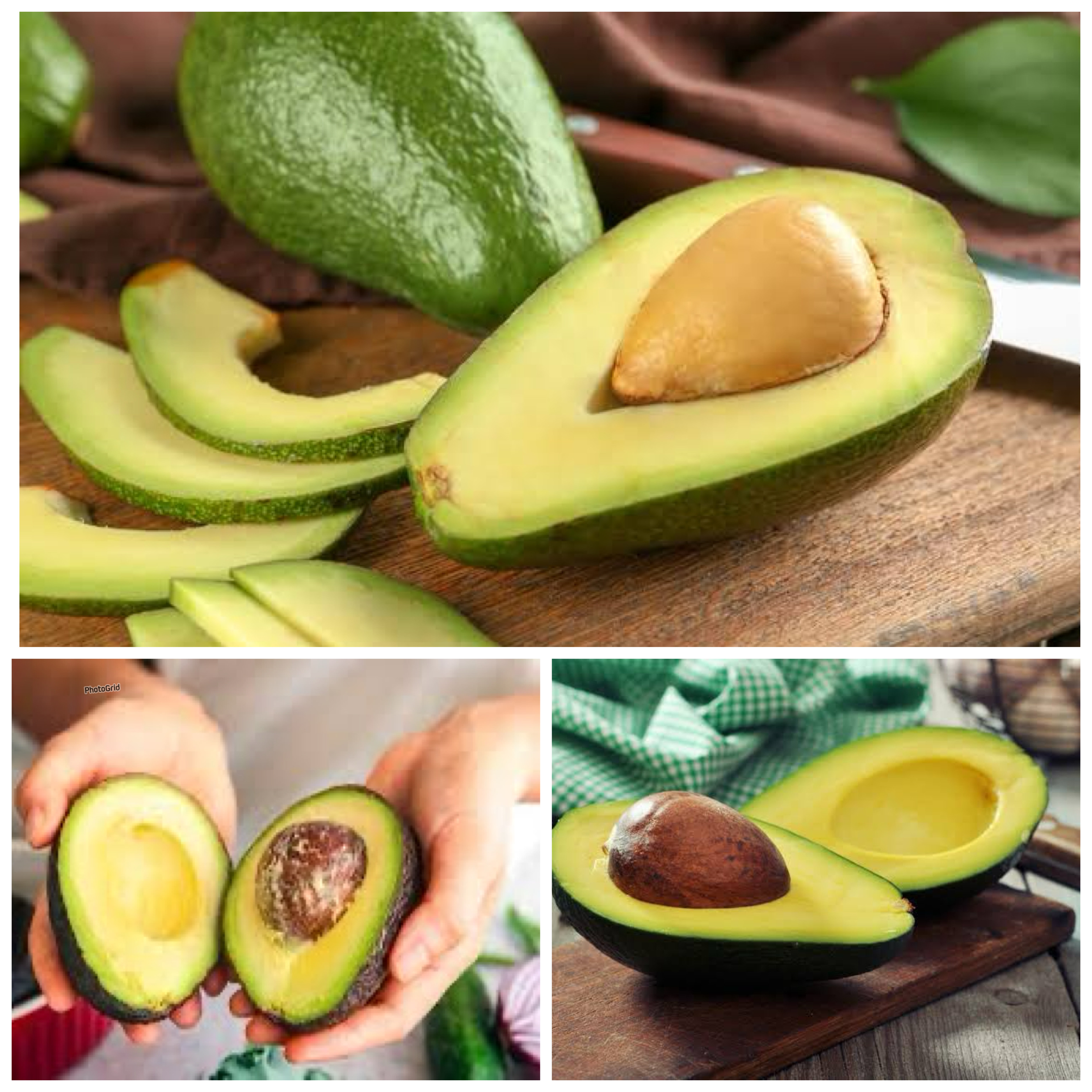 Manfaat Buah Alpukat bagi Kesehatan Tubuh: Rahasia Lemak Sehat dan Nutrisi Alami untuk Gaya Hidup Seimbang!