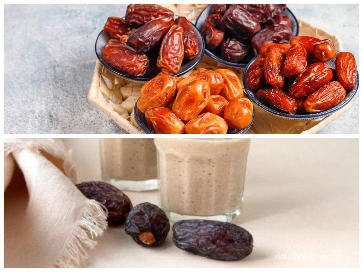 Kandungan dan Manfaat Kurma: Si Manis Penyehat Tubuh dengan Segudang Khasiat Alami!