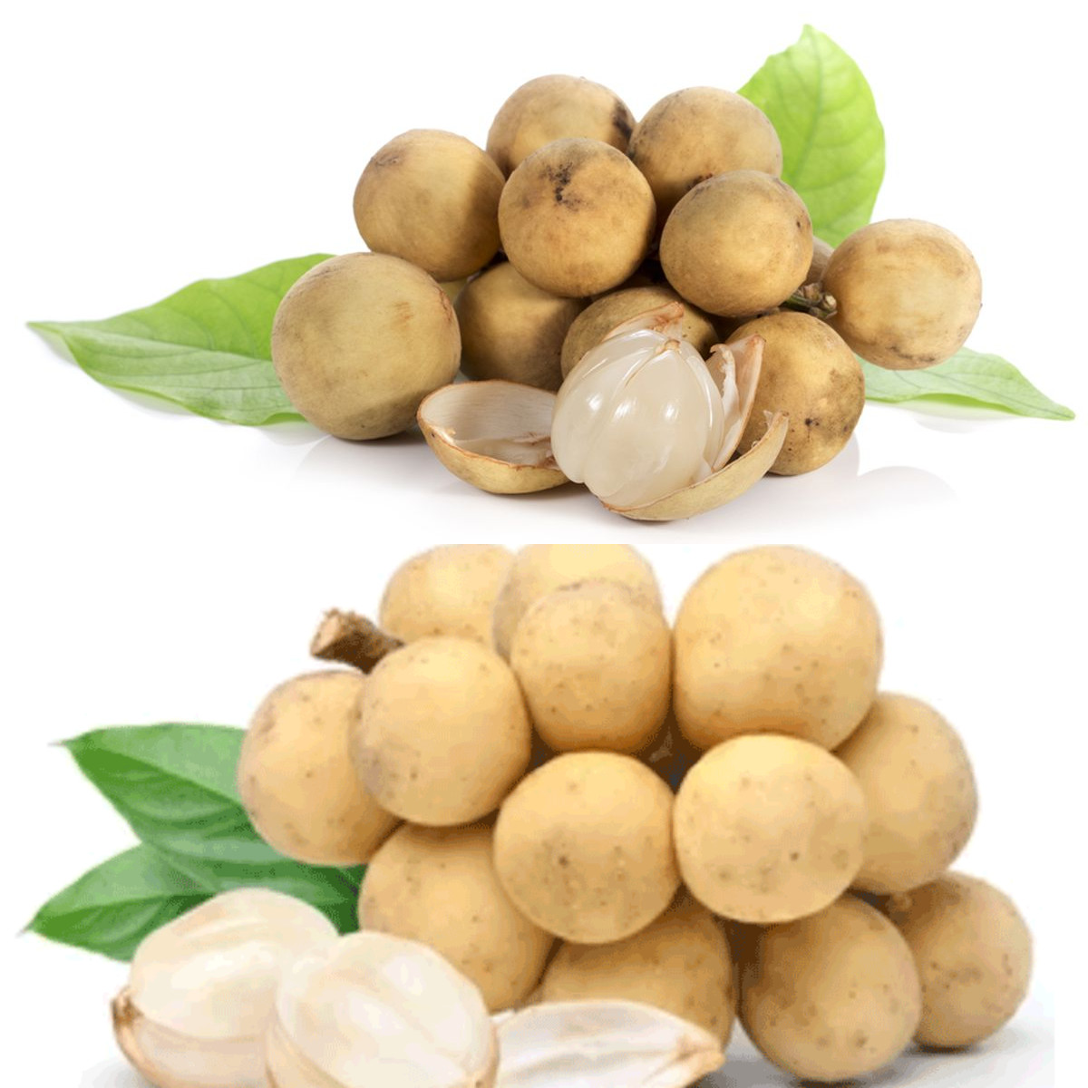 Manfaat Duku untuk Ibu Hamil, Hindari Migrain hingga Anemia!