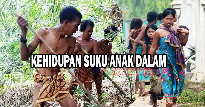 Misteri Suku Anak Dalam, Penjaga Hutan Rimba dan Tradisi Leluhur Yang Awet di Zaman Modern!