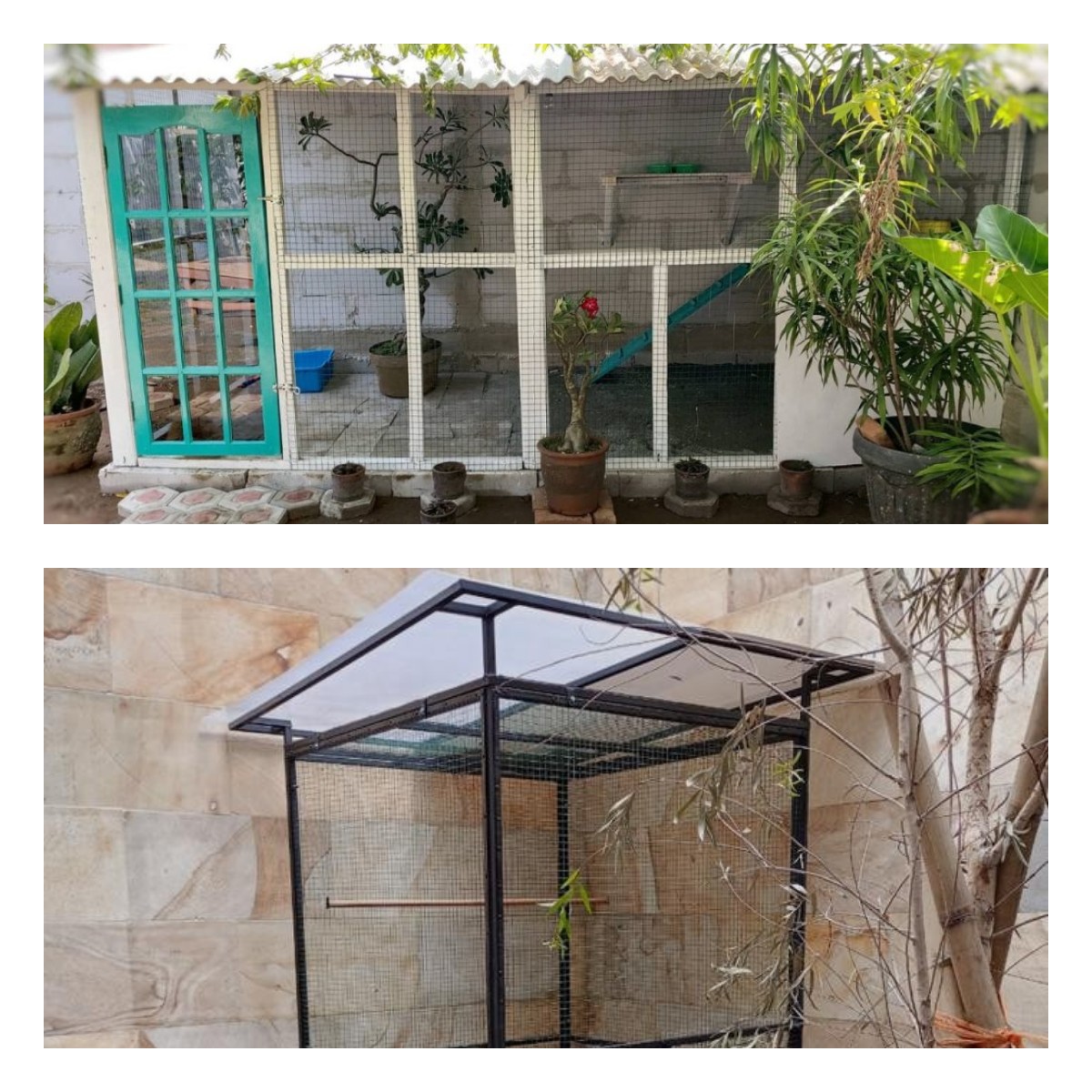 Teras Rumah Menghadap Kandang Burung Jadi Tren, Suasana Adem dan Menenangkan