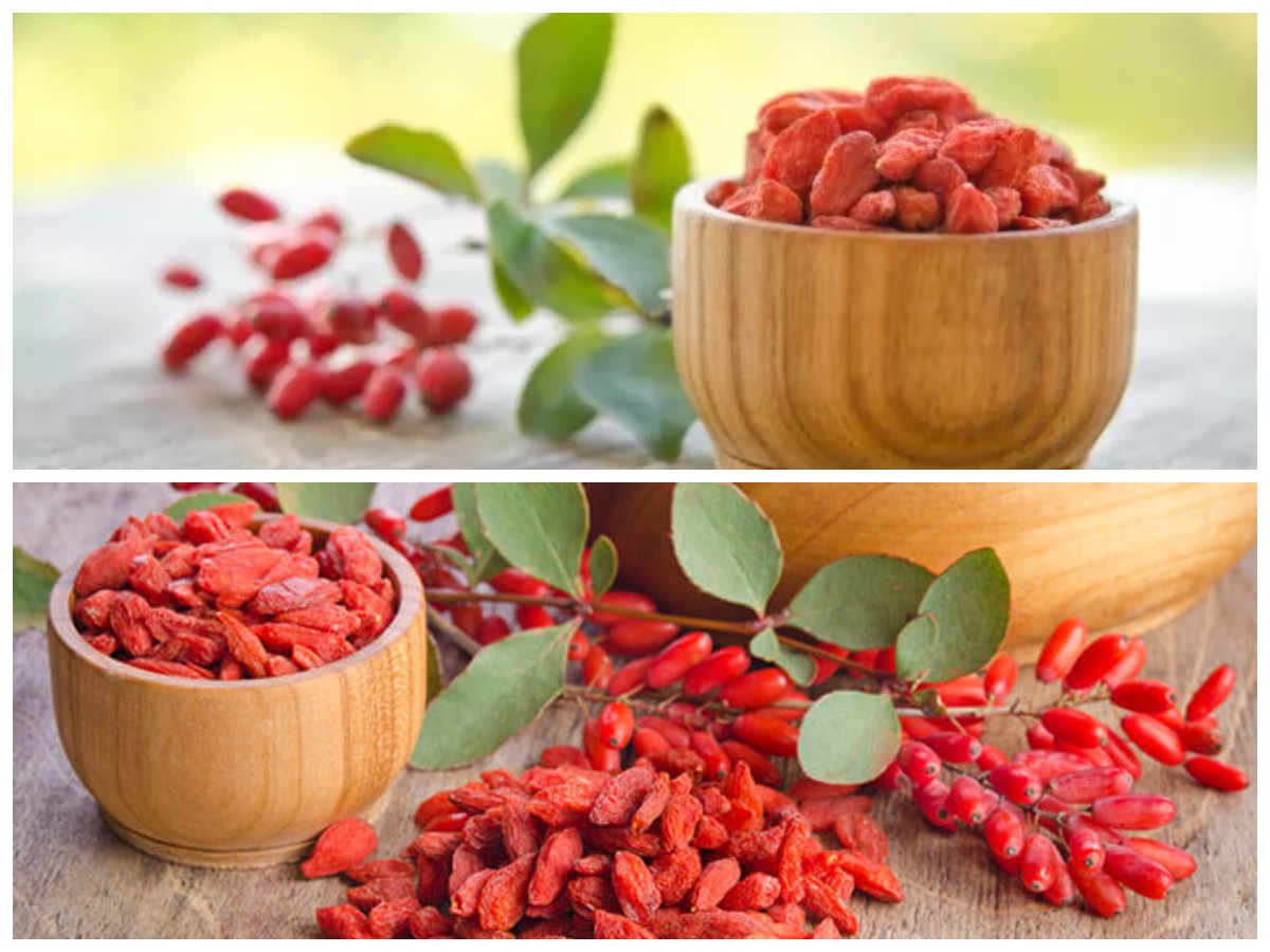  Meski Belum Umum Dikonsumsi, Inilah Manfaat Goji Berry bagi Kesehatan Patut Diperhitungkan!