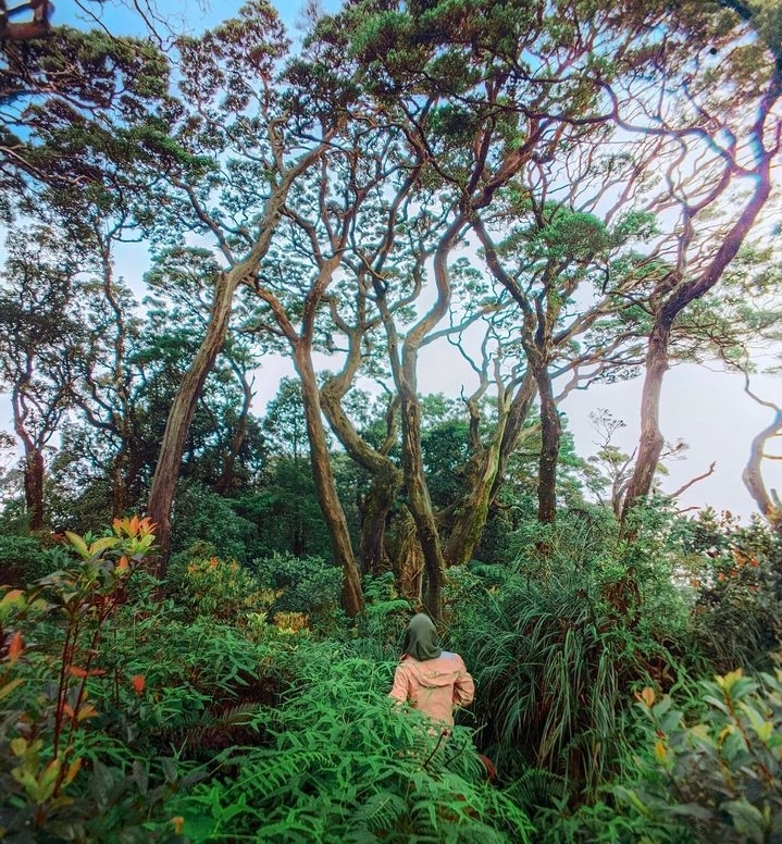 Fakta Gunung Salak, Mengungkap Rahasia Keberadaan Makhluk Gaib yang Mengawalnya!