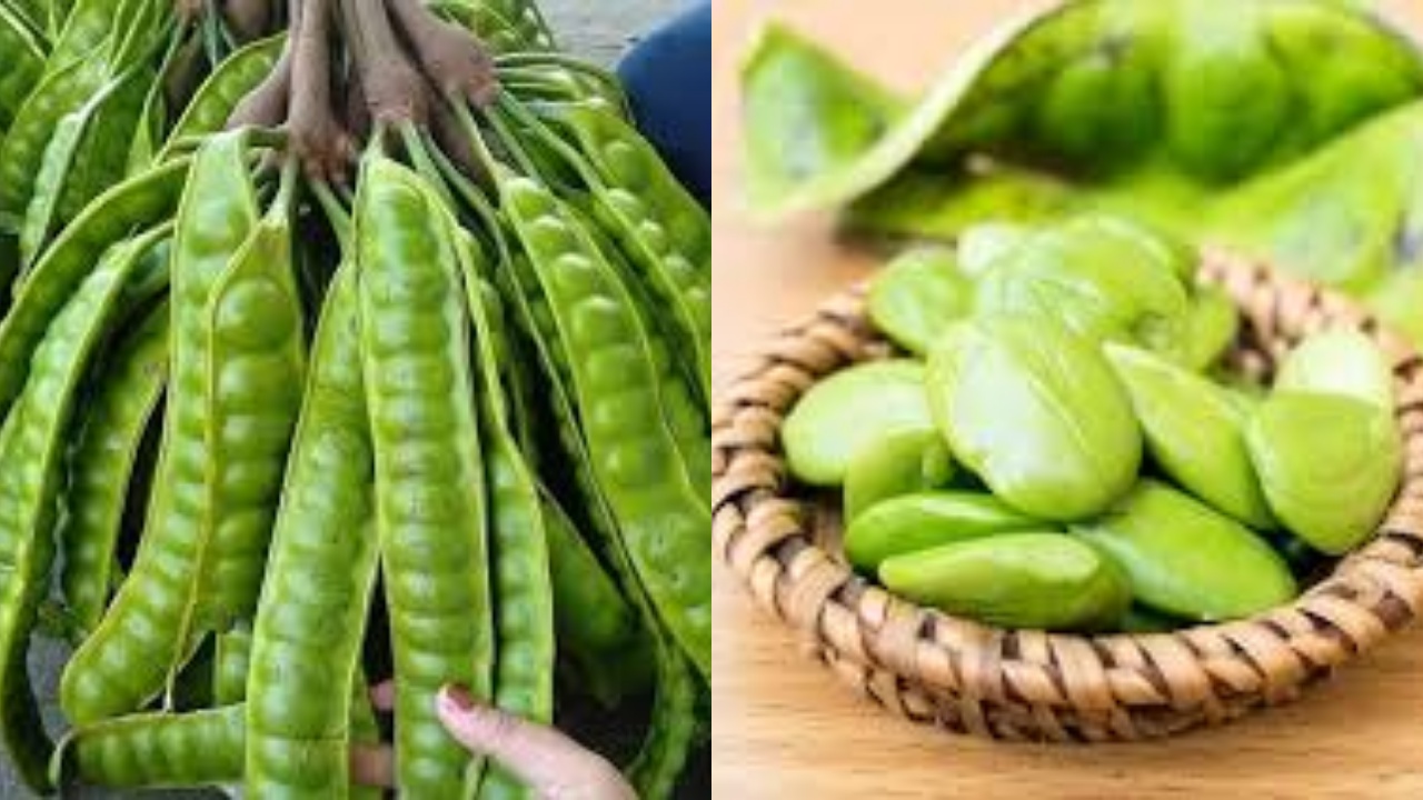 Apa Boleh Ibu Hamil Makan Pete? Yuk Simak Ini Penjelasannya