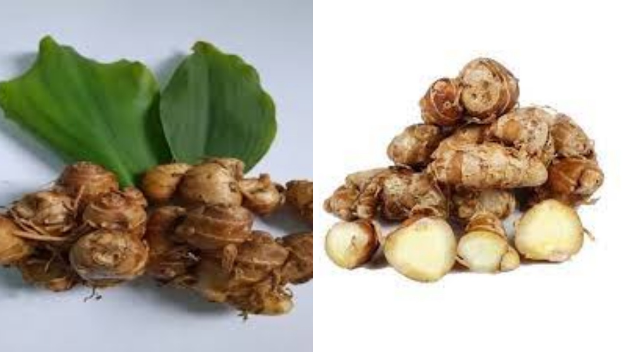  Jangan Remehkan Kencur! Ini Manfaatnya Untuk Kesehatan Tubuh Yang Luar Biasa