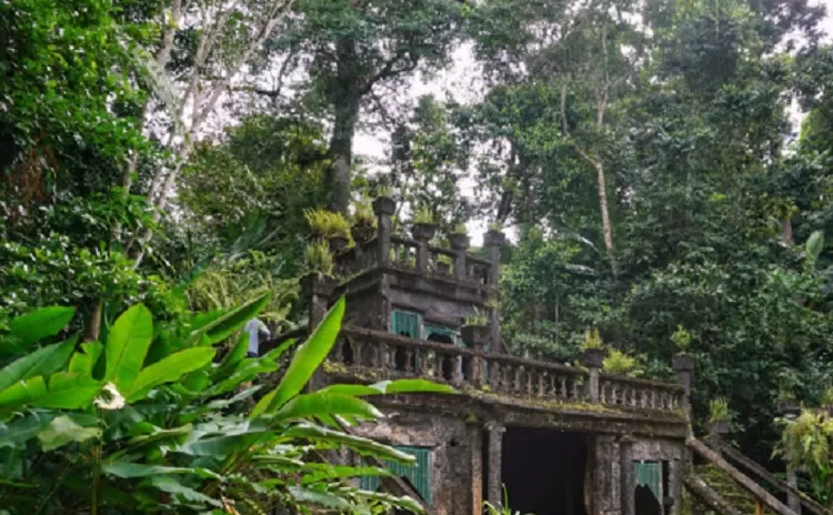 Diyakini Merupakan Peninggalan Raja Airlangga, Ternyata Istana Didalam Hutan Jati Lamongan Merupakan