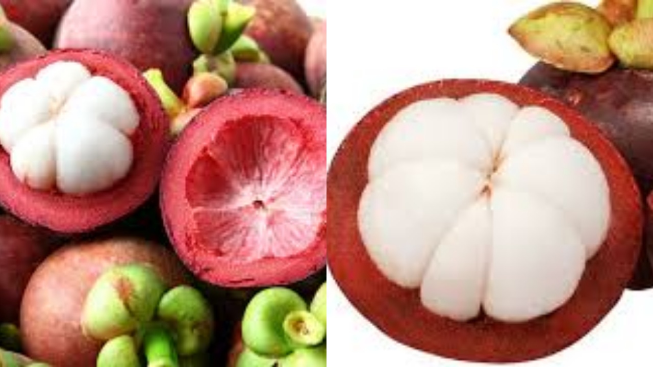 Inilah 6 Manfaat Kulit Manggis Untuk Kesehatan dan Cara Mengonsumsinya!