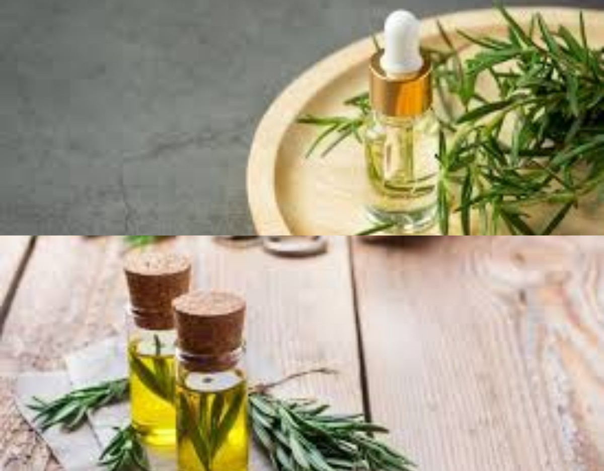 Ketahui 7 Manfaat Rosemary Oil, Selain Bisa Tumbuhkan Rambut Pitak Baik juga untuk Kesehatan!