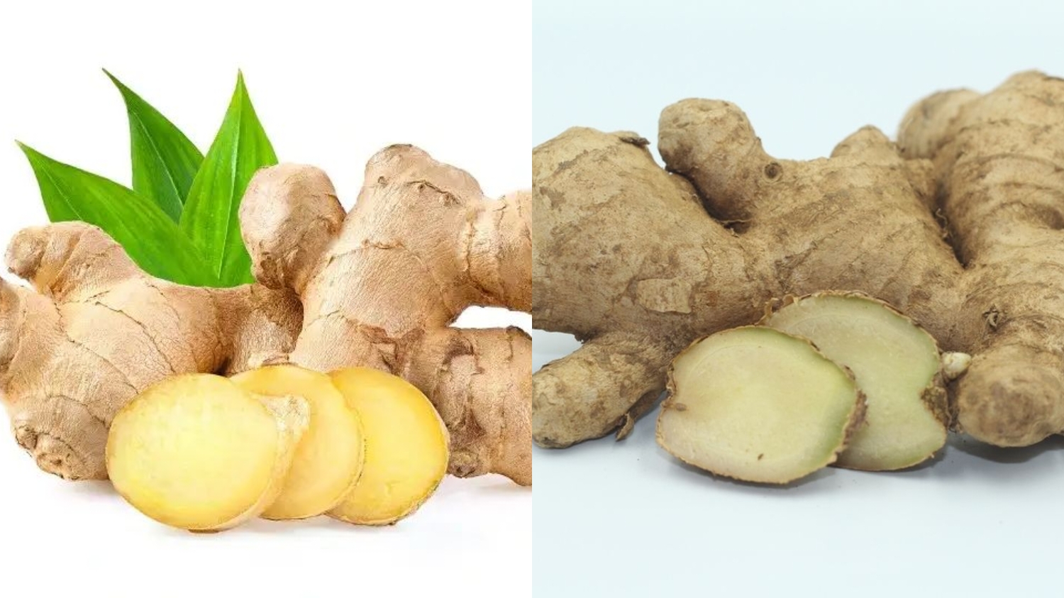 Kamu Harus Tahu! Inilah Manfaat Jahe Untuk Kesehatan Tubuh Yang Jarang Diketahui