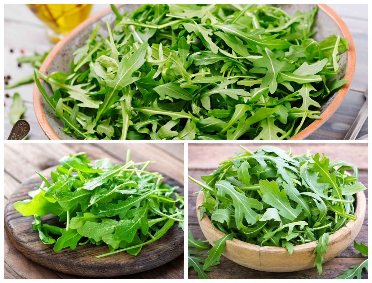 Deretan Nutrisi dan Manfaat Arugula untuk Kesehatan Tubuh: Sayuran Hijau Kaya Gizi yang Wajib Dicoba!