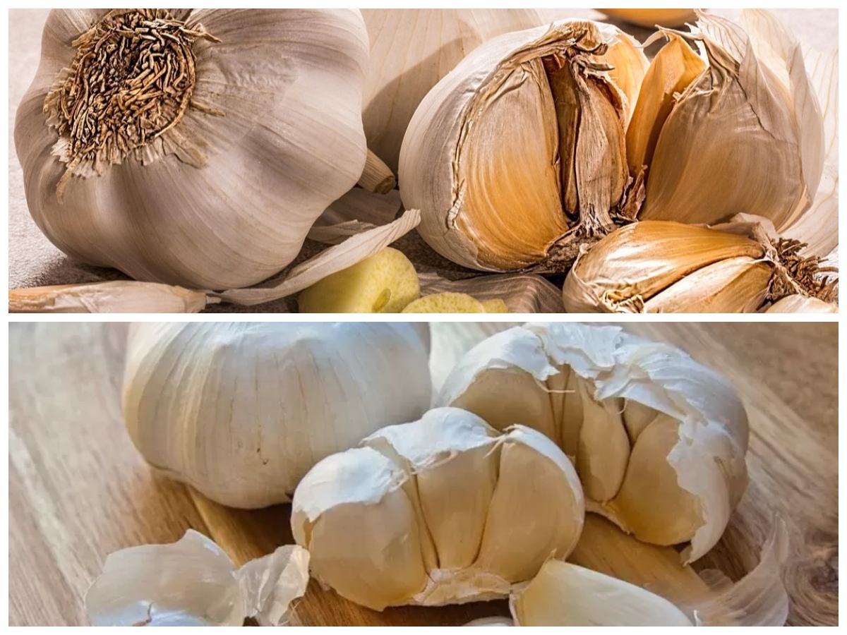 Rahasia Sehat dari Dapur: Ini Dia Segudang Manfaat Bawang untuk Tubuh!