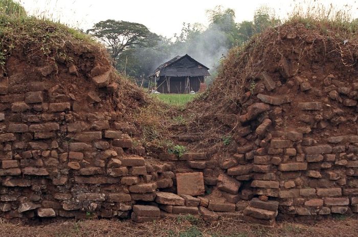 Istana Dalam Hutan Milik Raja Airlangga? Inilah Penemuan Menggemparkan Seluas 5 Ha Di Jawa Timur