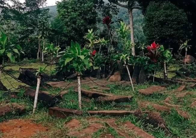 Mengejutkan Para Arkeolog! Inilah Fakta Menarik yang Ada di Gunung Padang 