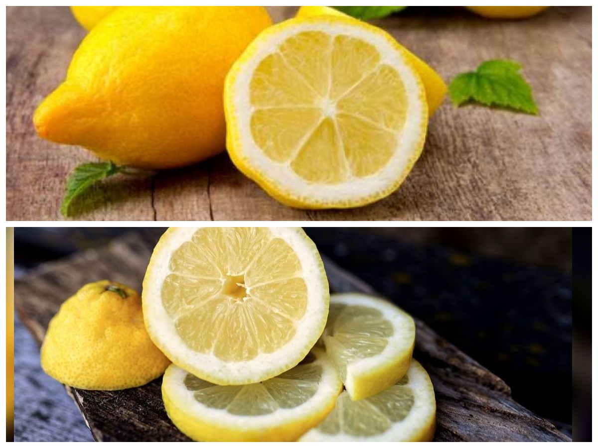 Rahasia Lemon! Meningkatkan Imunitas dan Menjaga Kesehatan Jantung Sekaligus