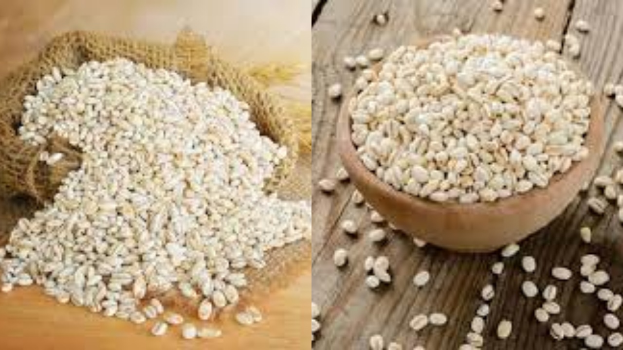 Biji Kecil, Manfaat Besar: Keajaiban Barley Untuk Tubuh Anda Yuk Intip