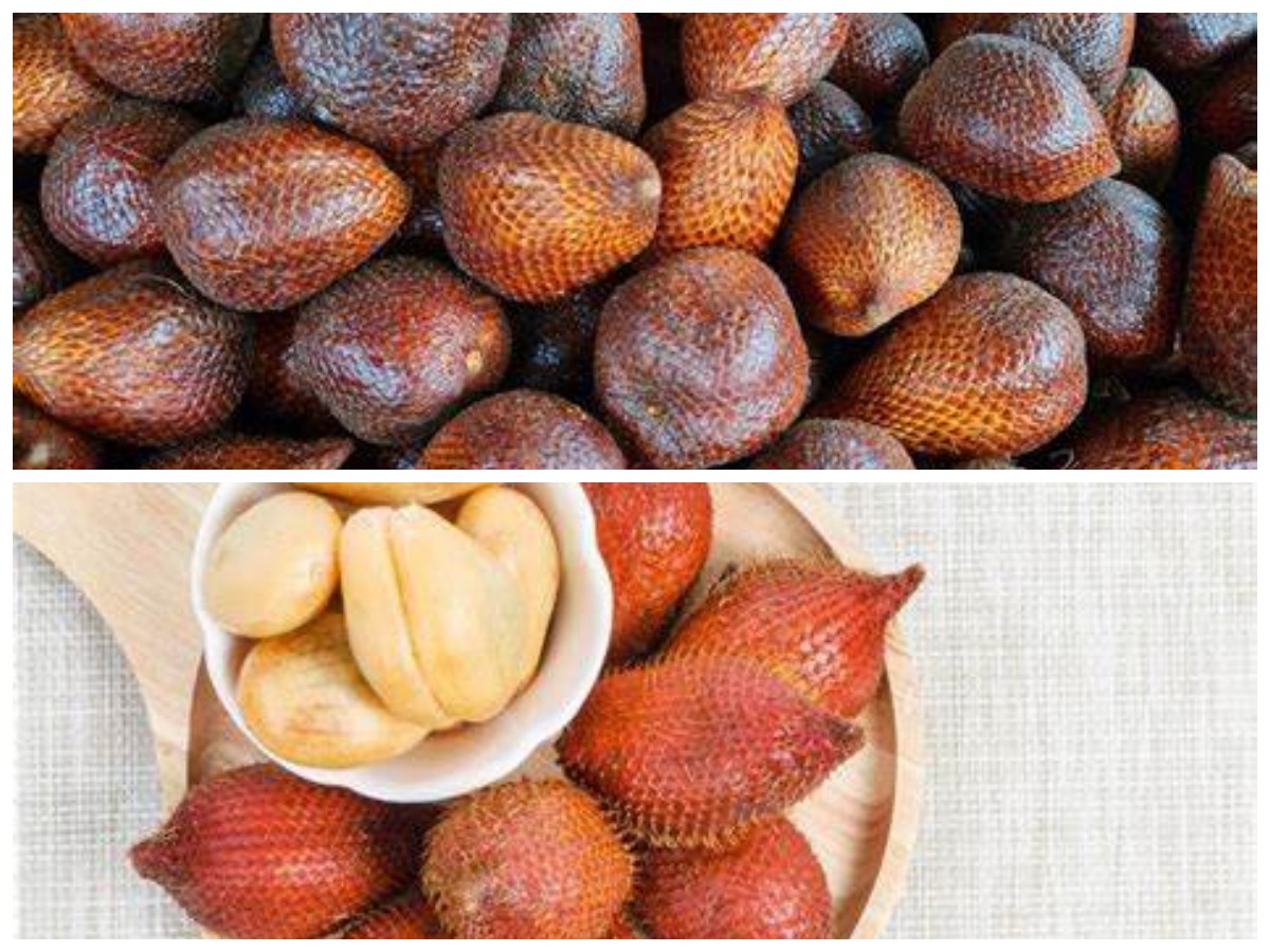 Rahasia Buah Salak: Meningkatkan Daya Tahan Tubuh secara Alami