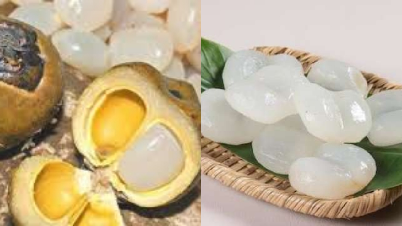  Inilah 7 Manfaat Buah Lontar Untuk Kesehatan Tubuh Yang Harus Kalian Tahu!