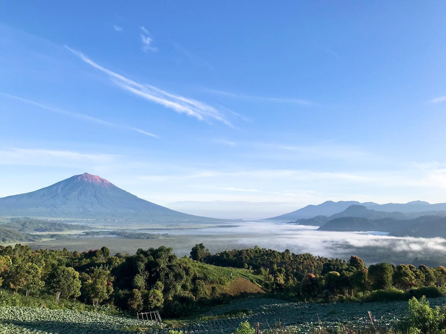 7 Wisata di Kota Jambi, Cek Lokasinya Disini, Ya