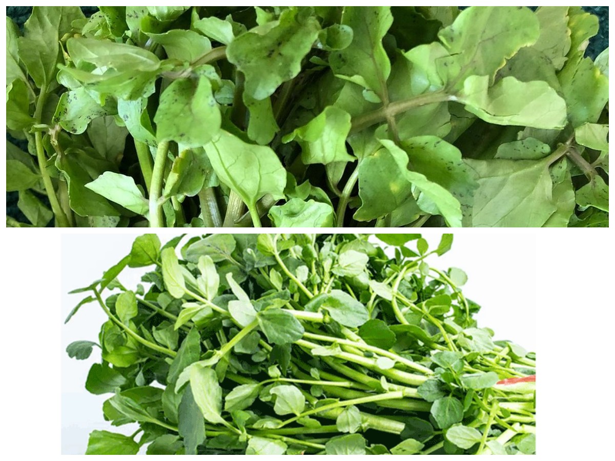 9 Khasiat Selada Air untuk Tubuh Sehat, Sudah Tahu Belum?