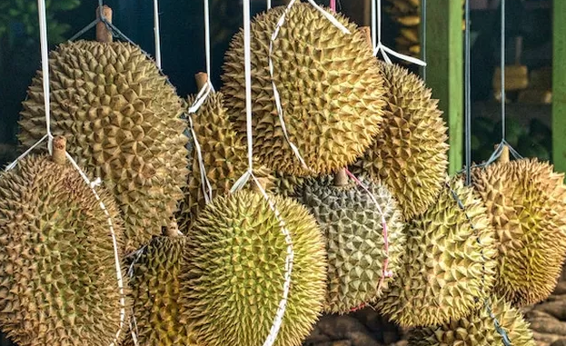 6 Daerah Produsen Buah Durian Terbesar di Indonesia 