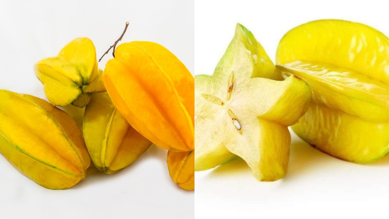 Inilah Kandungan dan Manfaat Belimbing bagi Kesehatan Tubuh!