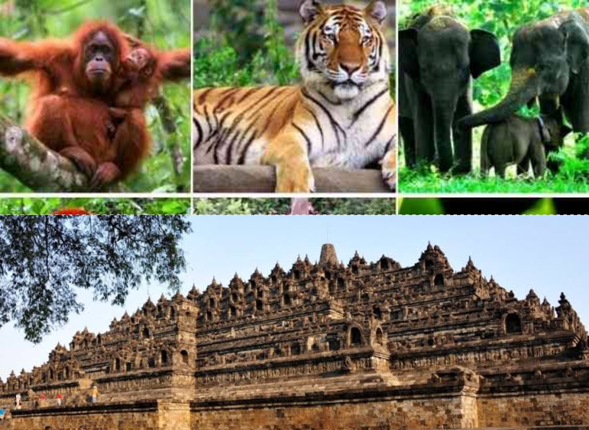 Indonesia Kaya, Inilah 5 Fakta Kekayaan Alam Indonesia, Dari Flora Fauna Hingga Bangunan Bersejarah
