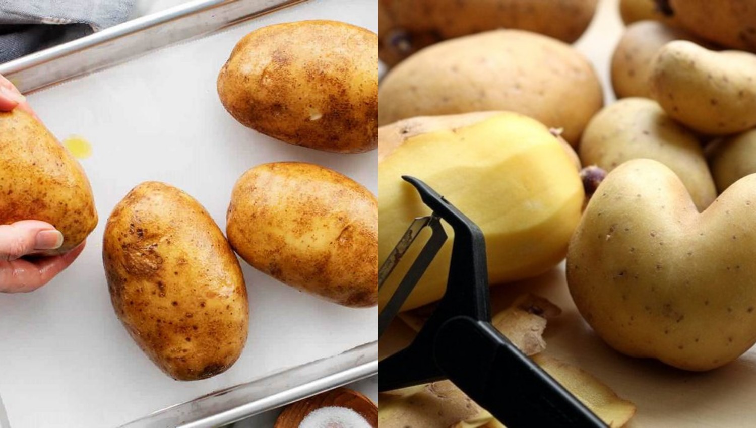 Kentang dalam Sorotan, Mengungkap Fakta dan Mitos yang Sering Salah Kaprah