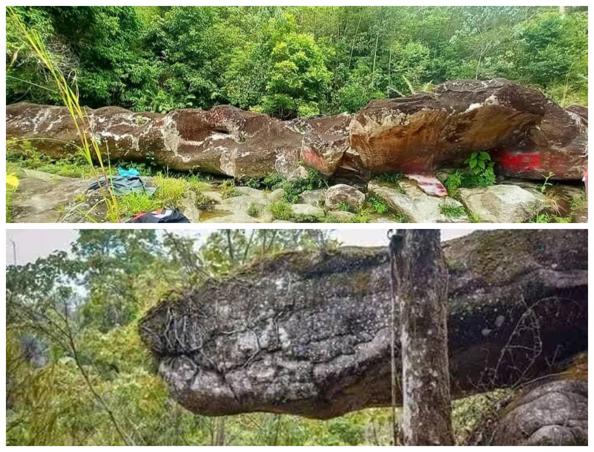 Batu Ular Raksasa yang Menggemparkan Media Sosial: Ternyata Terletak di Sini!