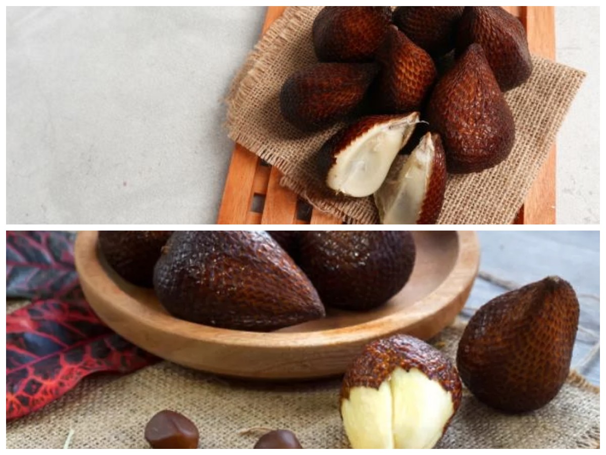 7 Manfaat Buah Salak untuk Kesehatan: Dari Jantung Sehat hingga Cegah Pikun