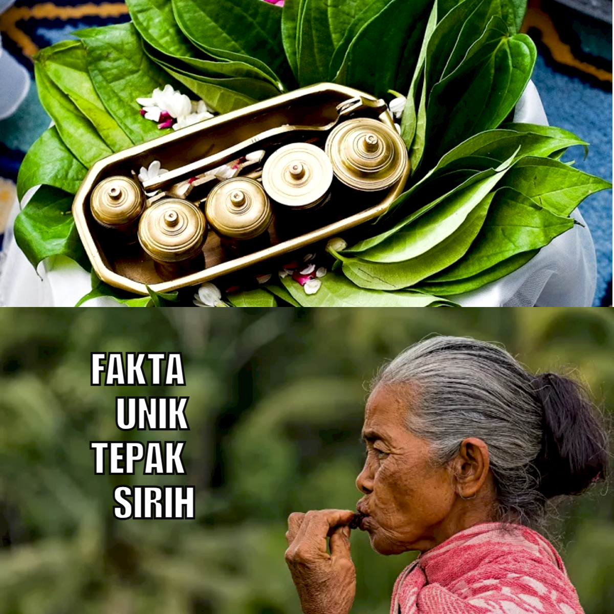 Jejak Budaya Melayu, Ini 5 Fakta Unik Tepak Sirih yang Mengagumkan dari Tradisi Indonesia!