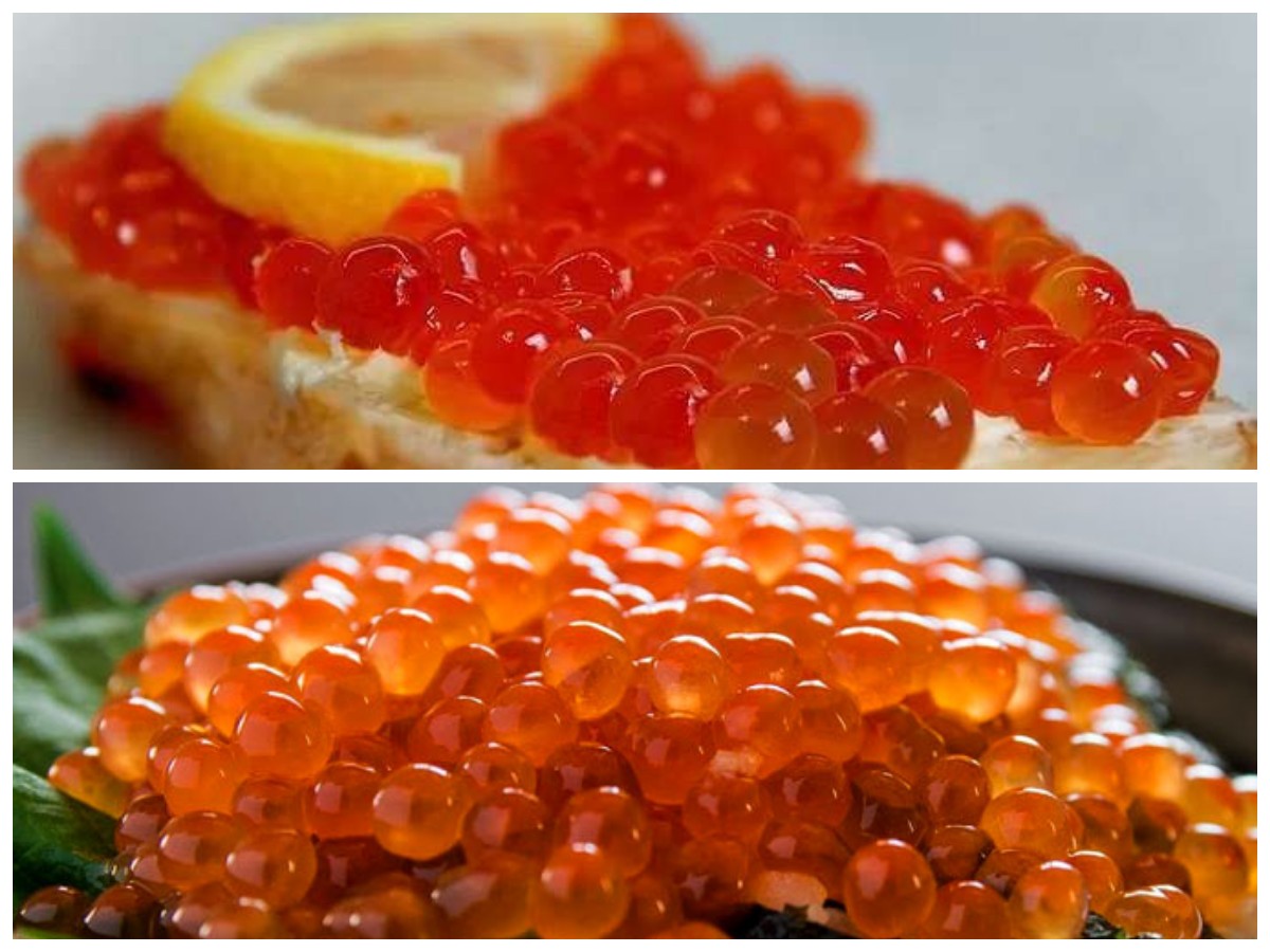 Keajaiban Telur Ikan untuk Tubuh: Kaya Nutrisi dan Mendukung Kesehatan Optima