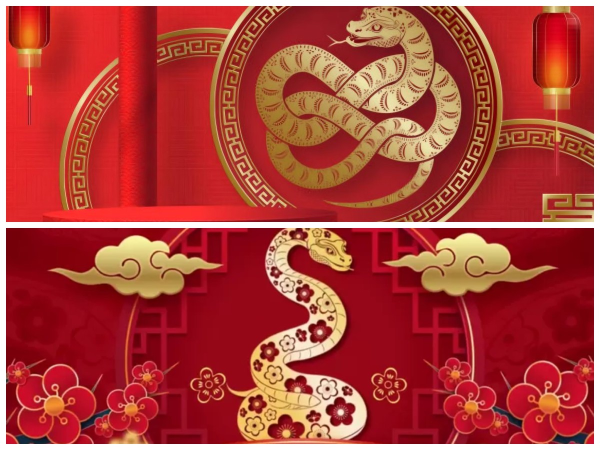 Tahun Ular Kayu 2025: Ini Dia Angka Keberuntungan untuk Setiap Shio!