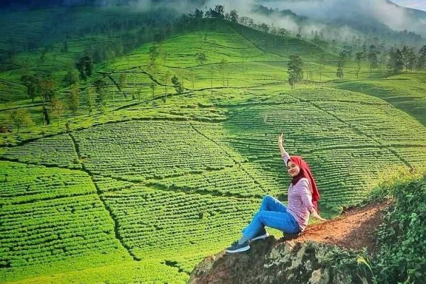 Menikmati Keindahan Gunung Cilik Wonosobo, Serunya Hiking di Tengah Perkebunan Teh yang Sejuk nan Asri!