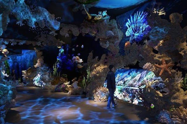 Wow! Lebih Dekat dengan Penghuni Laut, Inilah Wisata Edukasi Aquarium Terbesar si Indonesia