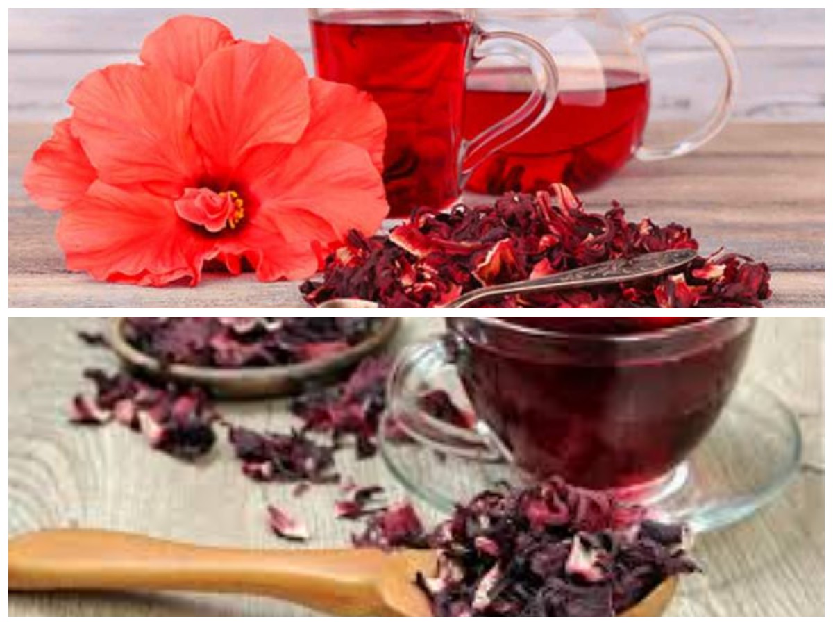 7 Khasiat Teh Hibiscus yang Mampu Tingkatkan Kesehatan Tubuh Secara Alami