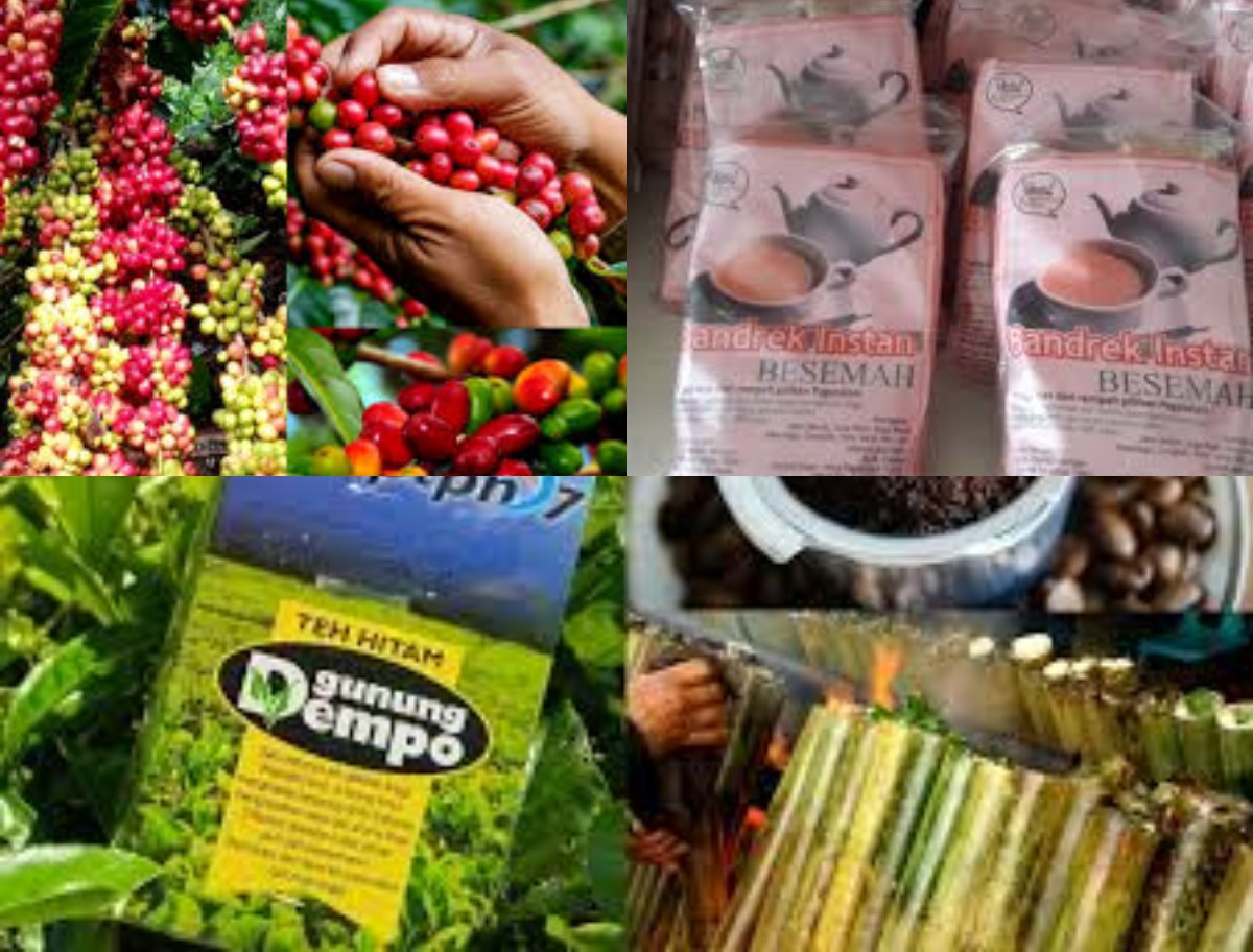 Oleh-Oleh Khas Kota Pagaralam, Sumatera Selatan: Cita Rasa Pegunungan yang Tak Terlupakan