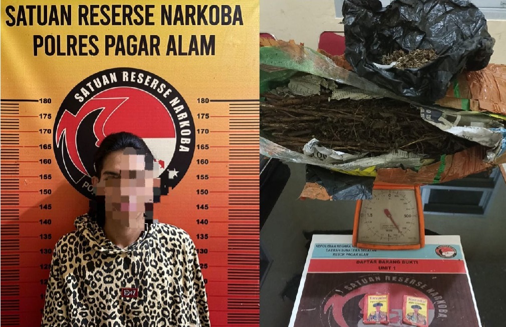 Sembunyikan 0,8 Kg Ganja Siap Edar di Dapur, Pemuda Ini Diringkus Satres Narkoba