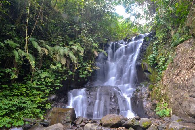 Wajib Dukunjungi, Ini 4 Rekomendasi Wisata Terbaru di Ponorogo